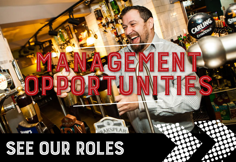 management opportunities at O'Neill's